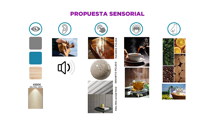 Las cosas que percibimos en base a nuestros sentidos sensoriales