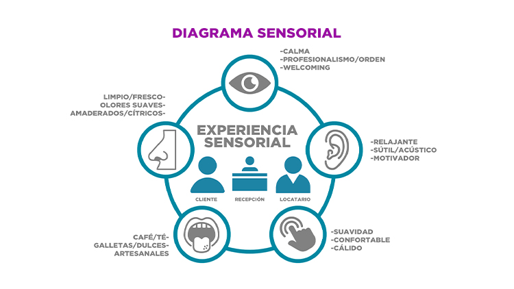 Las cosas que percibimos en base nuestros sentidos sensoriales